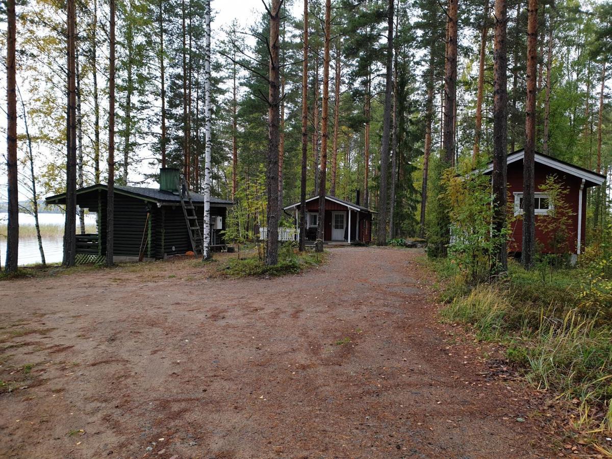 Nestorin Maja Villa Puumala Exterior photo